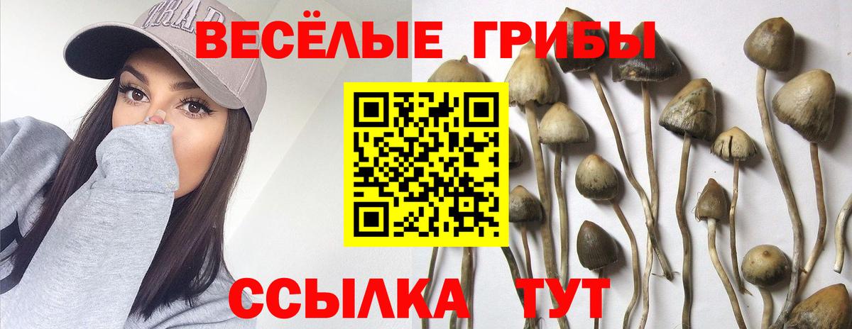 Галлюциногенные грибы мицелий Ярцево